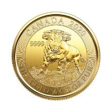 Canada 1/4 Oz. Gold 2020 Bull BU