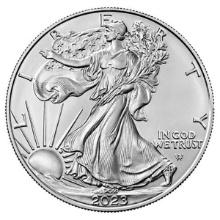 Burnished 2023-W Silver Eagle Original Mint Box