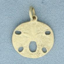 Sand Dollar Charm Or Pendant In 14k Yellow Gold