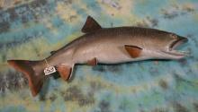 High Quality Large 42" Lake Trout Fiberglass Reproduction Taxidermy Fish Mount