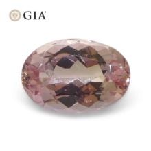 Pretty GIA Certified 1.16 Ct Natural Topaz