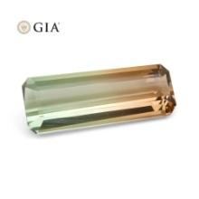 Huge 30.21 Ct GIA Certified Natural Tourmaline