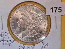 VARIETY! 1889 Morgan Dollar in Choice Brilliant Uncirculated