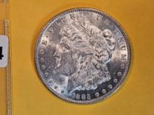 1885 Morgan Dollar