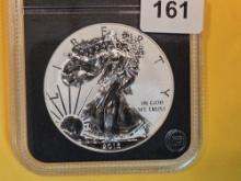 GEM Reverse Proof Deep Cameo 2013-W American Silver Eagle