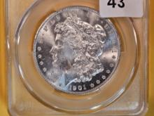 CACG 1901-O Morgan Dollar in Mint State 64