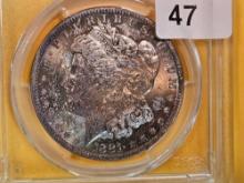 PCGS 1881-O Morgan Dollar in Mint State 62