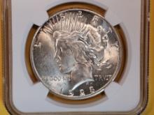 NGC 1923-S Peace Dollar in Mint State 62