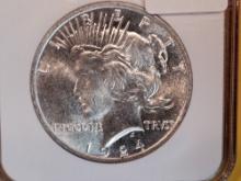 NGC 1924 Peace Dollar