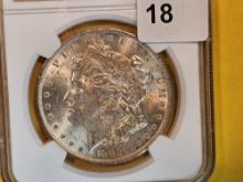 NGC 1883-O Morgan Dollar in Mint State 63