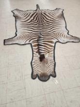 Vintage Zebra Rug Taxidermy