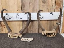 2 Sets Of Pronghorn Antelope Horns On Skull Plate