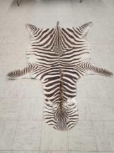 Zebra Skin Rug Taxidermy