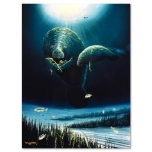 Save the Manatees by Wyland,