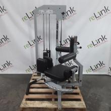 Body Masters 211 Torso Rotation Machine - 400370