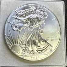 2014 1 Troy Oz .999 Fine Silver American Eagle Bullion Coin