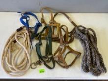 Lead Ropes & Halters