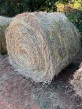 C- Blue stem, and prairie hay