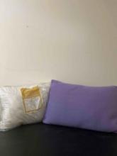 2 Standard/Queen size pillows