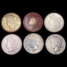 1880-1924 Silver Dollar Lot (6) HIGH GRADE