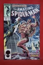 AMAZING SPIDERMAN #293 | KRAVEN'S LAST HUNT! | CLASSIC MIKE ZECK COVER