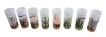 Blakely Oil & Gas Arizona Cactus Glasses Set Of 8 14 oz, Anchor Hocking