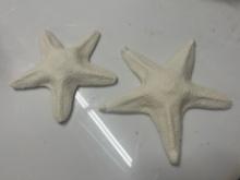 STAR FISH DÉCOR - PLASTER