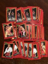 WCW 1991 The Fabulous Frebirds Lof of 61 Cards