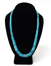 Lovely Turquoise Disc Bead Necklace