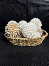 Shell Basket Display