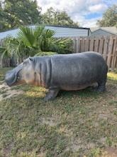 Life Size Hippo