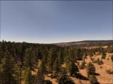 Northern California Modoc County 1.36 Acres Property! Forested Mountains! Low Monthly Payments!