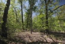 DOUBLE LOT Arkansas Fulton County Cherokee Village Property Loaded with Community Amenities! Low Mon