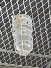 Nautical Style Silver Caged Flushmount Ceiling Lights