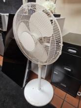 Floor Fan