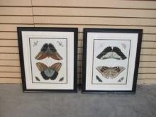 Pair of Framed and Matted Butterfly Artwork