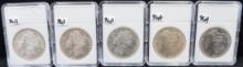 5 HIGH GRADE MIXED DATE & MINT MORGAN DOLLARS