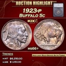 ***Major Highlight*** 1923-p Buffalo Nickel 5c ms66+ SEGS (fc)