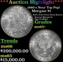 ***Major Highlight*** 1880-o Morgan Dollar Near Top Pop! $1 ms65+ SEGS (fc)