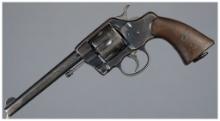 U.S. Colt Model 1901 New Army Revolver with Holster