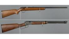 Two Rimfire Rifles