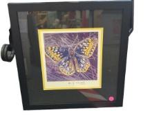 Andy Warhol Butterfly Framed Print