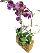 Faux Purple Orchid Flower Arrangement in Glass Vases with Rocks - Elegant Home Decor