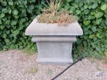 Large Square Concrete Flowering Pot with Contents