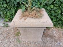 Large Square Concrete Flowering Pot with Contents