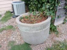 Large Round Concrete Flowering Pot with Contents