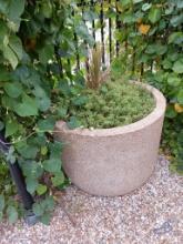 Large Round Concrete Flowering Pot with Contents