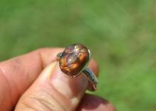 Fire Agate Ring in Sterling Silver -- Size 10