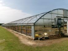 300' X 36' CAROLINA GREENHOUSE WITH HEATERS, FANS, AND A MOWER BOOM