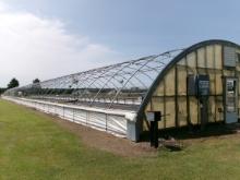 300' X 36' CAROLINA GREENHOUSE WITH HEATERS, FANS, AND A MOWER BOOM